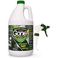 EcoClean Solutions Mold, Mildew & Algae Remover | No-Scrub Stain Remover | Instant Results for All Surfaces (1 Gallon)