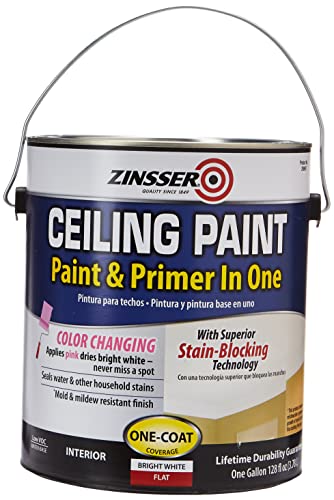 Ceiling Paint