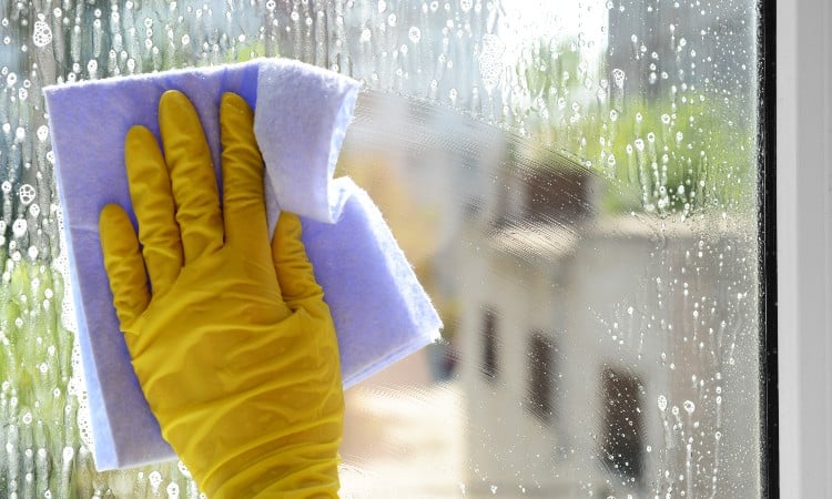 Cleaning Double Pane Windows Inside