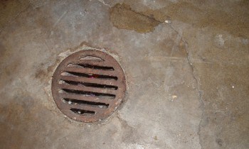 Cover Floor Drain