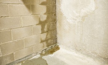 Leaky Basement Wall