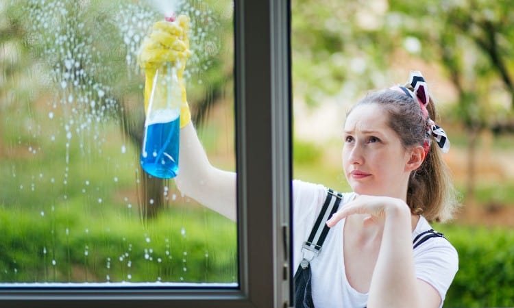 How To Clean Double Pane Windows