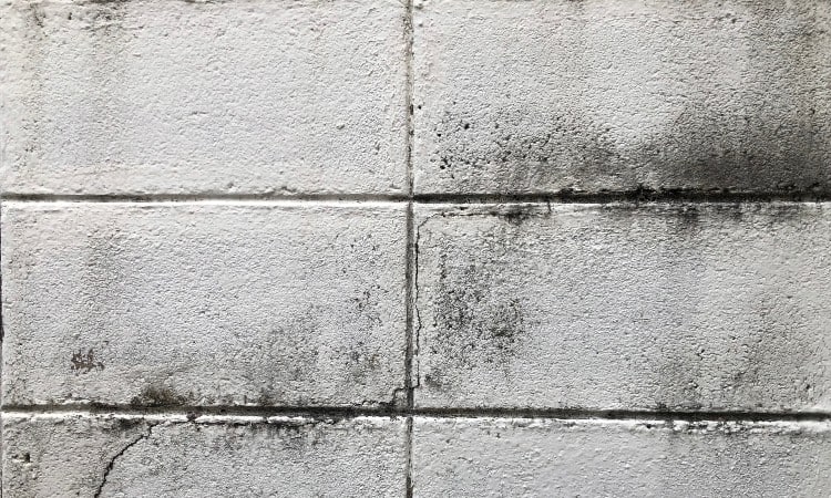 How To Get Rid Of Mold On Concrete Block Walls