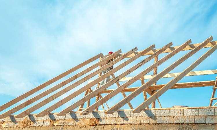 Rafter Pros and Cons