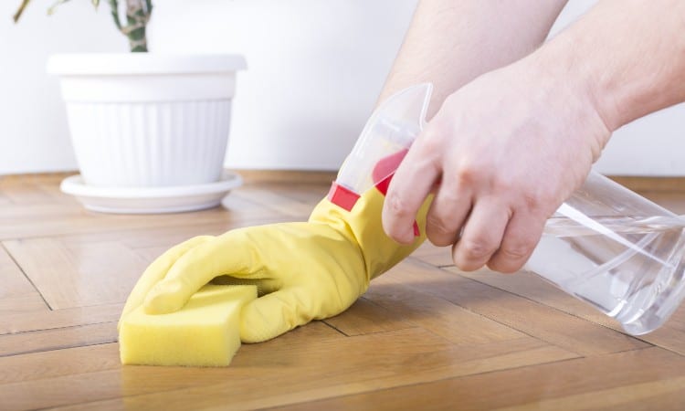 Removing Mold from Wood for Floors