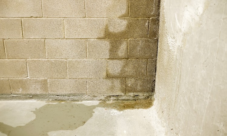 Water In Basement After Rain