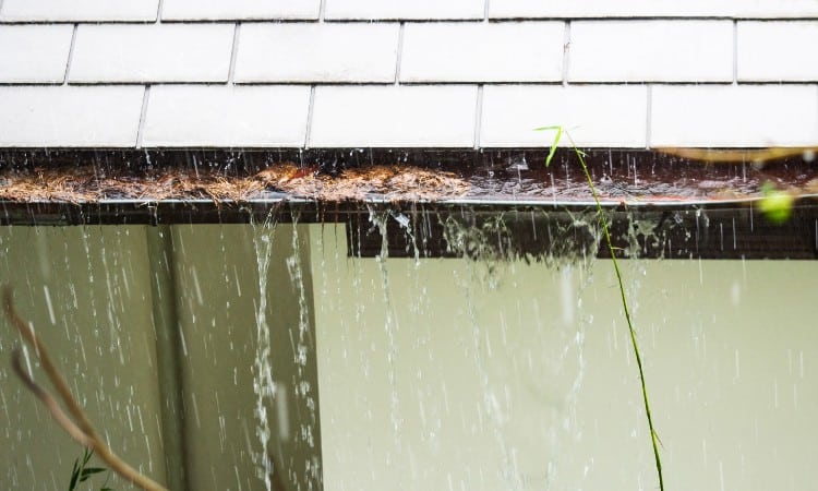 Water seepage in basement after rain