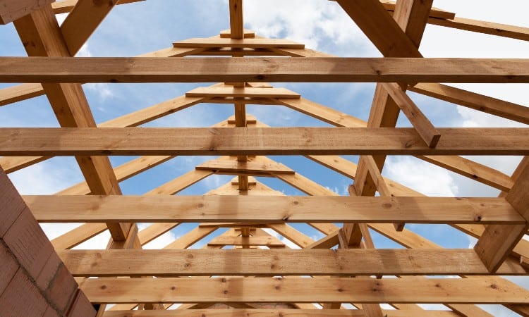 What Are Ceiling Joists