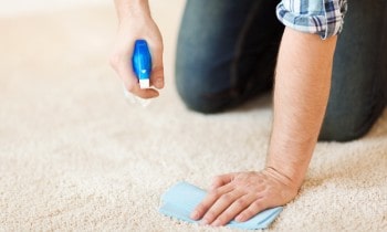 Get Bleach Stains Out of Carpet