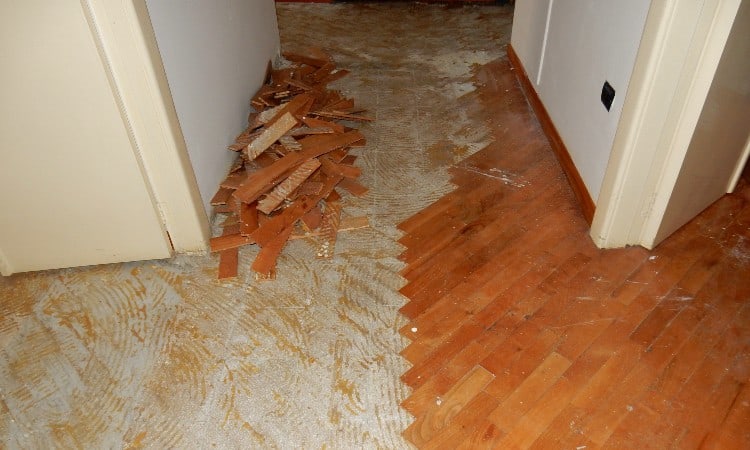 Glued hardwood floor removal