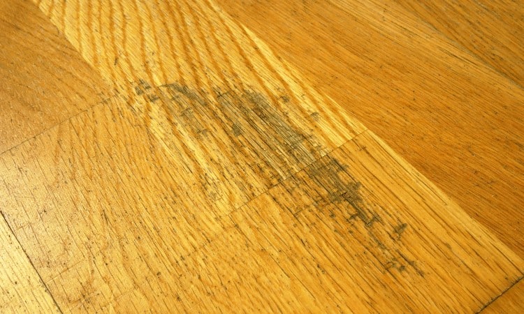 Refinish Hardwood Floors Without Sanding